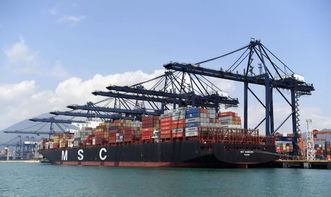 開(kāi)門紅 127.65萬(wàn) 鹽田港集團(tuán)1月集裝箱吞吐量同比增長(zhǎng)3.12