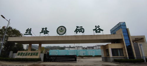 絲路硒谷香飄遠 專家賦能譜新篇——安康市院士專家工作站現場會石泉行紀實